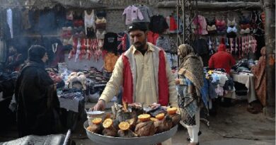 Picture 1 36 https://www.theglobalvoice.net/wp-content/uploads/2024/01/Picture-1-36.jpg