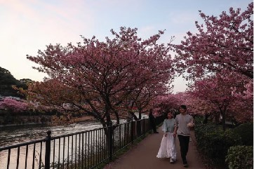Picture 1 21 https://www.theglobalvoice.net/wp-content/uploads/2024/03/Picture-1-21.jpg