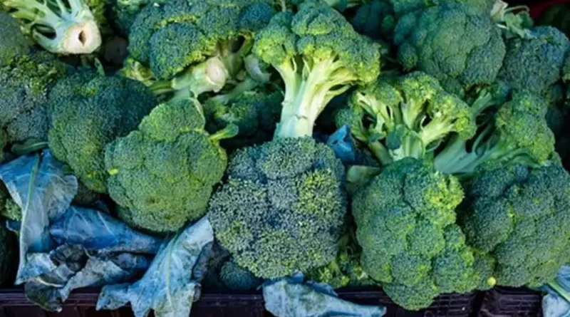 broccoli