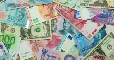 Picture4 https://www.theglobalvoice.net/wp-content/uploads/2025/07/Picture4.webp