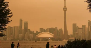 SNOBELEN Americans cant see the forest for the trees https://www.theglobalvoice.net/wp-content/uploads/2026/08/SNOBELEN-Americans-cant-see-the-forest-for-the-trees.webp